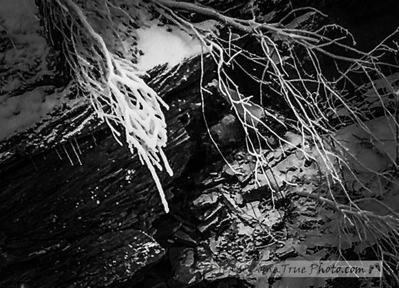 Dream Come True Photo - a little snowy secret shared in the land of winter wonderland.  