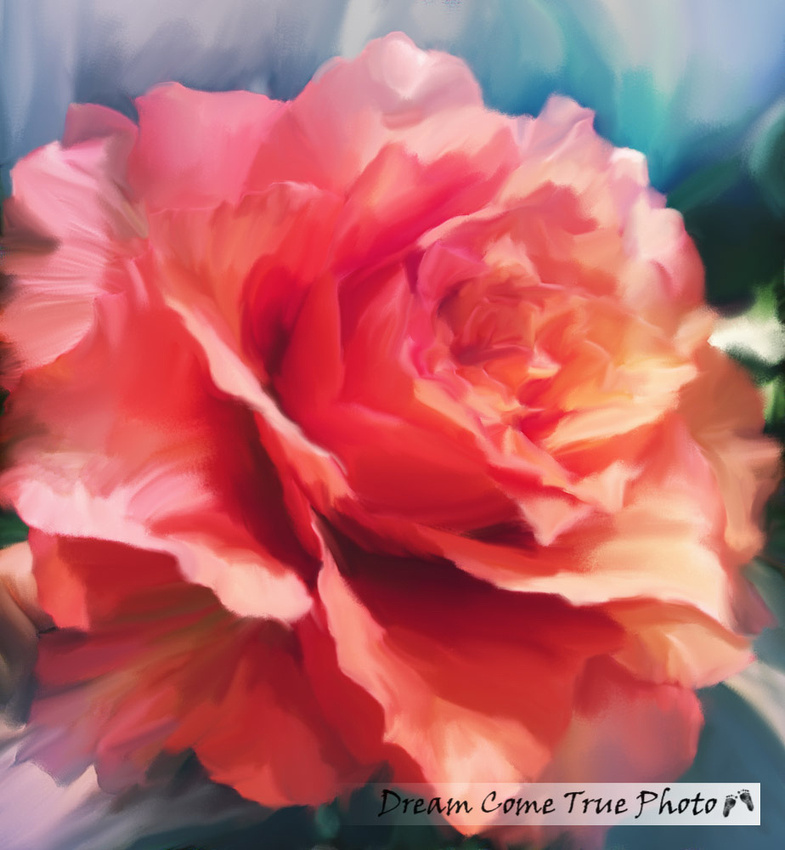 Dream Come True Photo, A Dream Photo, Digital painting, rose, project of the week, beautiful